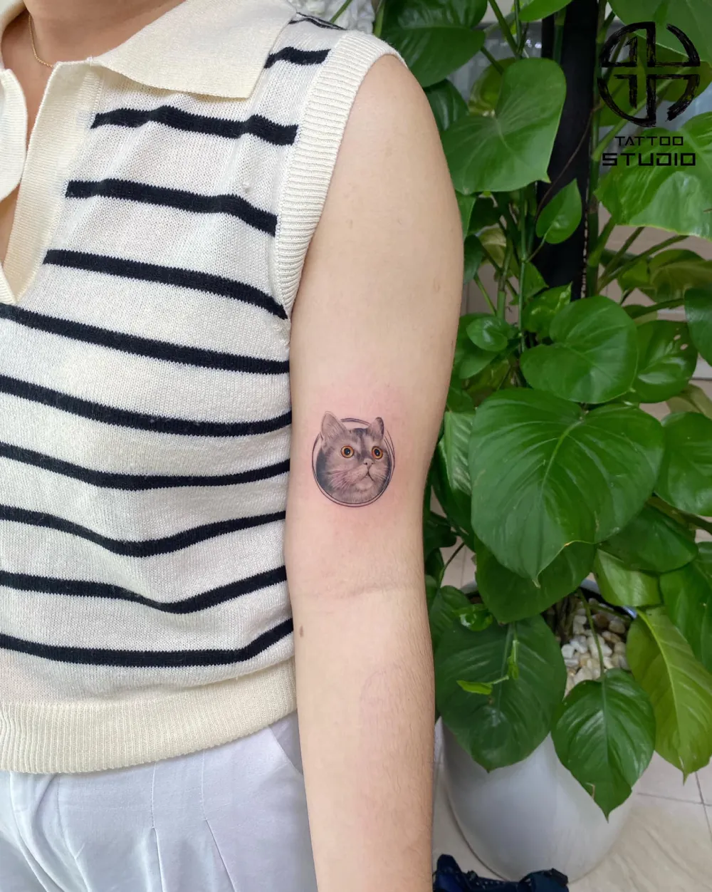 hình xăm tả thực mèo